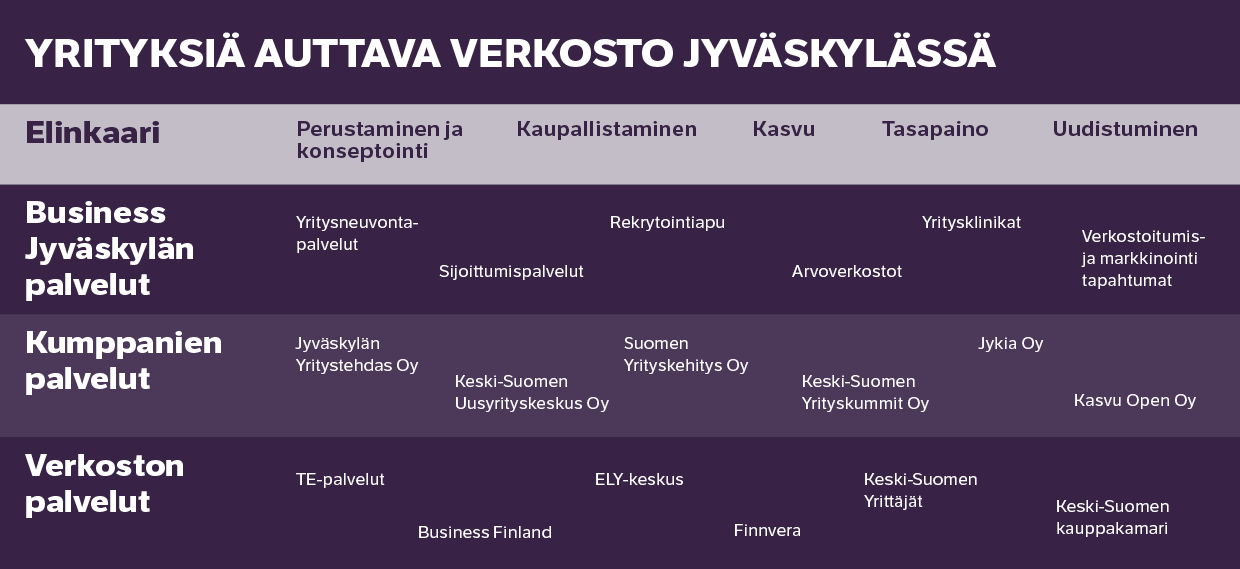 Business_JKL_infograafi