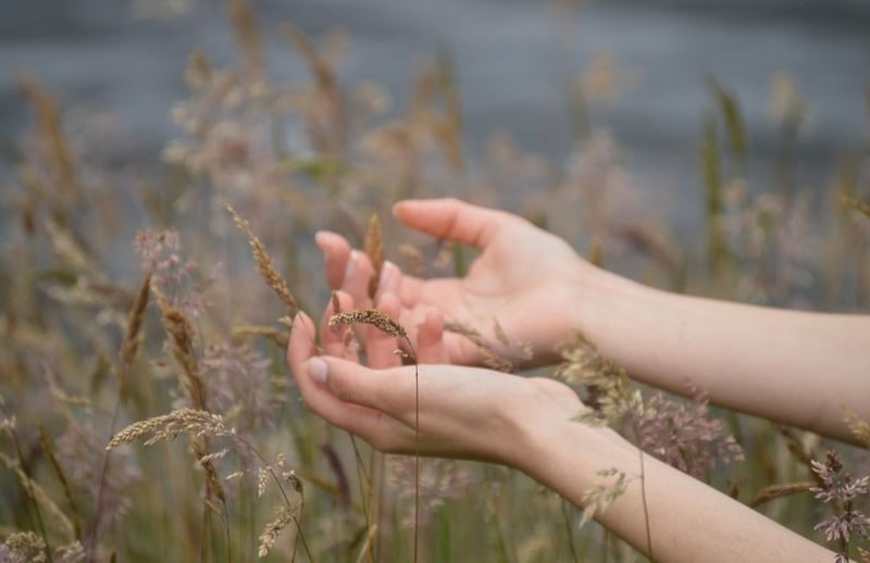 Keski-Suomen liiton energia- ja luontohankkeiden loppuseminaari