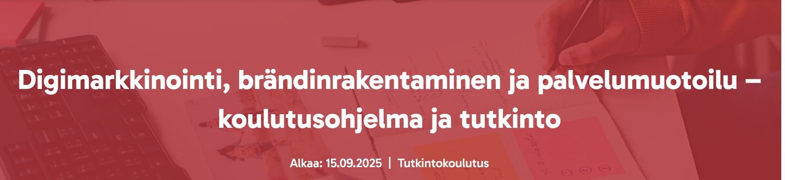 Digimarkkinointi, brändinrakentaminen ja palvelumuotoilu – koulutusohjelma ja tutkinto